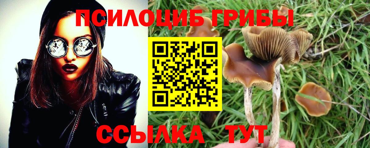 Галлюциногенные грибы GOLDEN TEACHER  Вход с VPN  Галлюциногенные грибы GOLDEN TEACHER  где найти   Холмск 